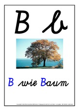 B-Buchstabenbilder-SAS-2.pdf